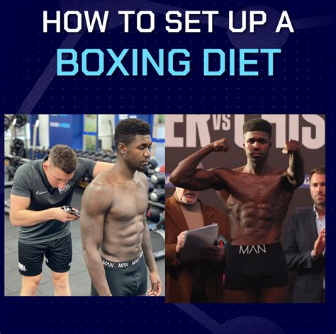 BEST FOOD FOR BOXERS WITH HIGH PROTEIN & FAT .